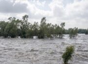 Banjir di Kenya Lenyapkan 120 Nyawa, Puluhan Ribu Orang